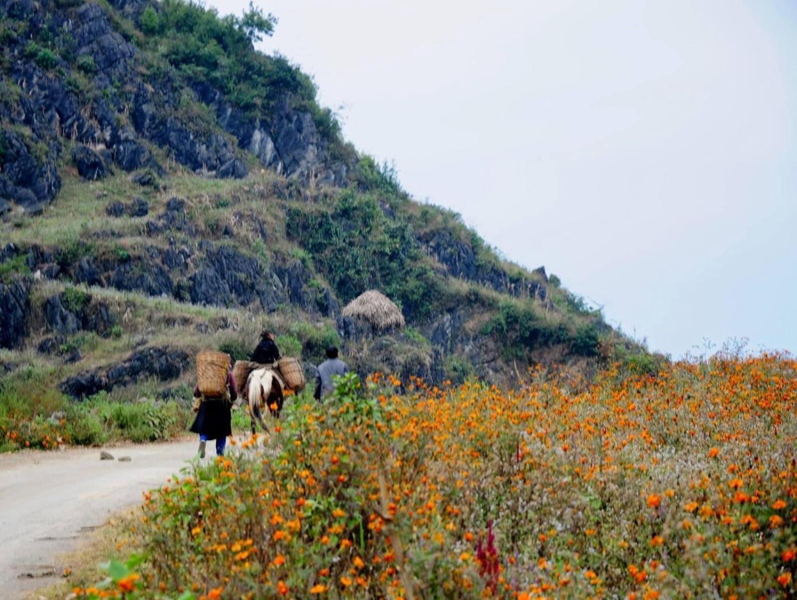 Hang Thuong Hostel - Motorbikes And Tour Ha Giang Dış mekan fotoğraf